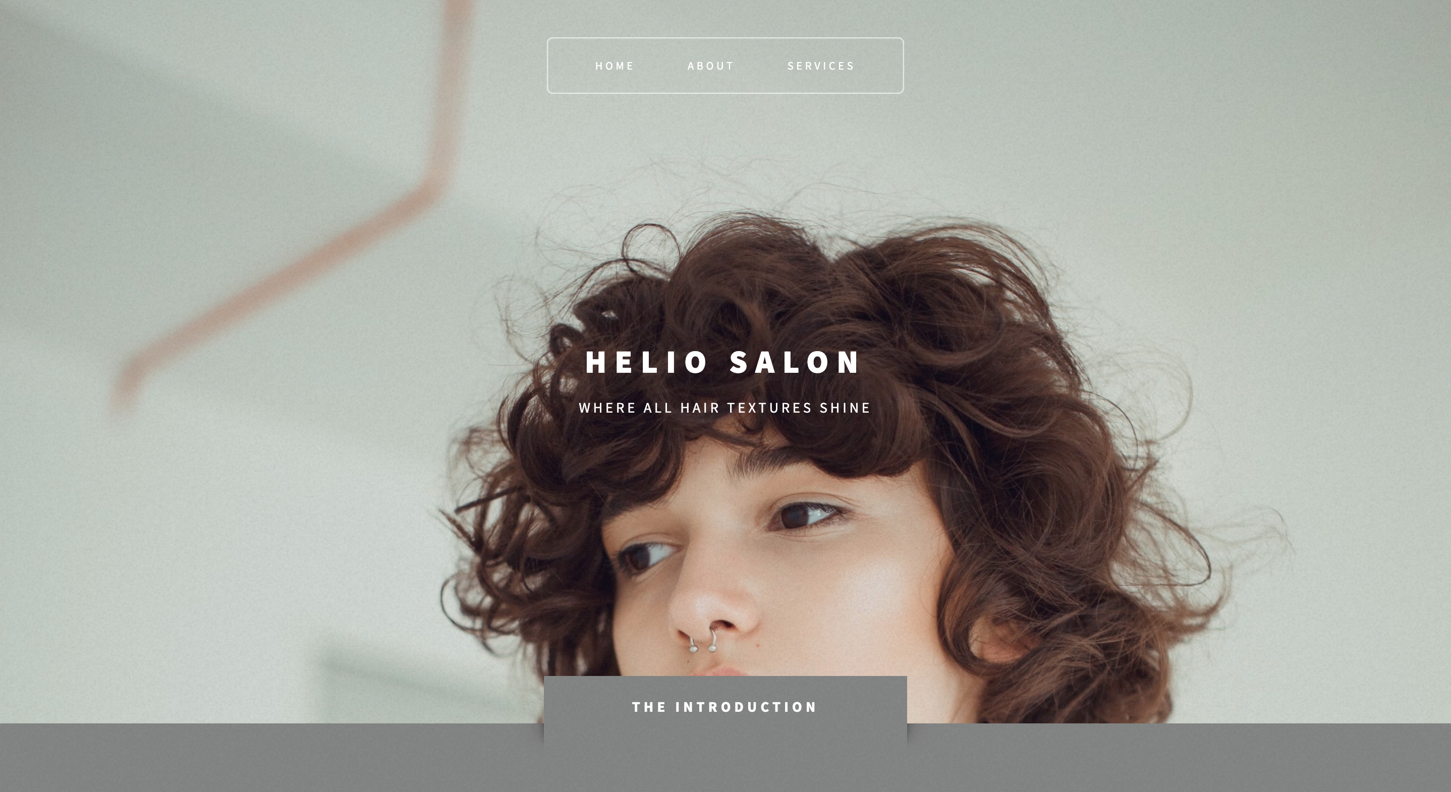 Picture of Helio Salon Homepage